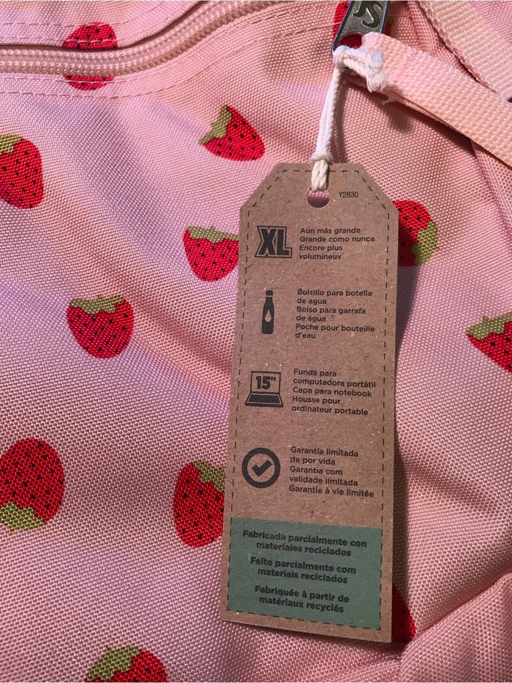 Jansport XL Big Student Strawberry Shower Backpack NWT - Picture 10 of 11